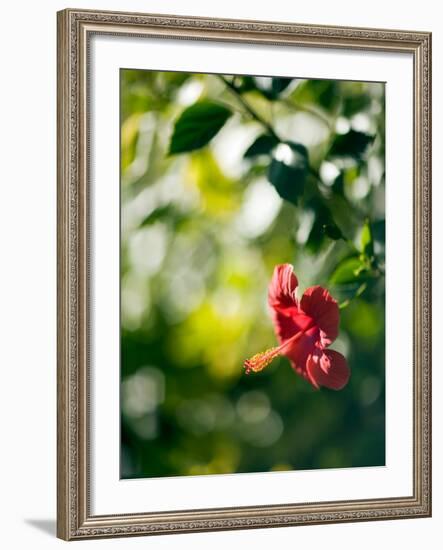 Views of Andalusia, Spain-Felipe Rodriguez-Framed Photographic Print