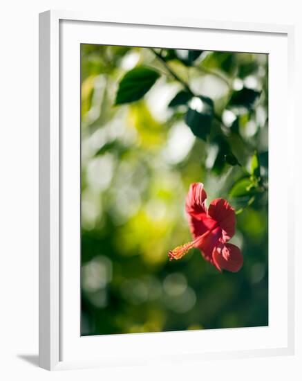 Views of Andalusia, Spain-Felipe Rodriguez-Framed Photographic Print