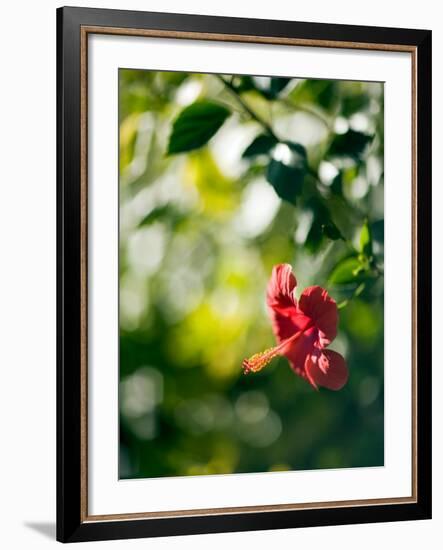 Views of Andalusia, Spain-Felipe Rodriguez-Framed Photographic Print