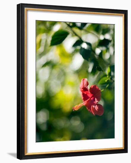 Views of Andalusia, Spain-Felipe Rodriguez-Framed Photographic Print