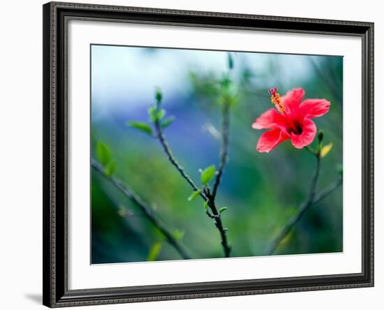 Views of Andalusia, Spain-Felipe Rodriguez-Framed Photographic Print