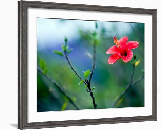 Views of Andalusia, Spain-Felipe Rodriguez-Framed Photographic Print