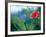 Views of Andalusia, Spain-Felipe Rodriguez-Framed Photographic Print