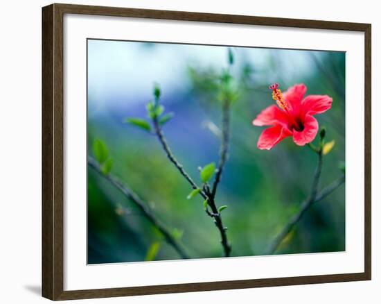 Views of Andalusia, Spain-Felipe Rodriguez-Framed Photographic Print