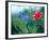 Views of Andalusia, Spain-Felipe Rodriguez-Framed Photographic Print