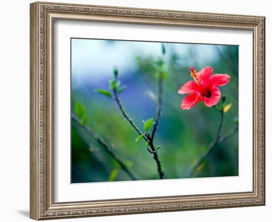 Views of Andalusia, Spain-Felipe Rodriguez-Framed Photographic Print