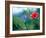 Views of Andalusia, Spain-Felipe Rodriguez-Framed Photographic Print