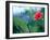 Views of Andalusia, Spain-Felipe Rodriguez-Framed Photographic Print