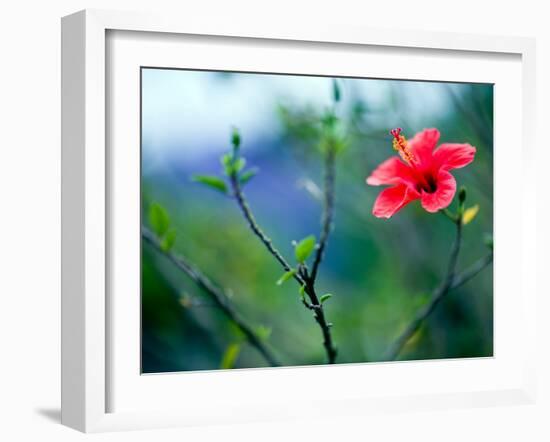 Views of Andalusia, Spain-Felipe Rodriguez-Framed Photographic Print