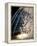 Views of Andalusia, Spain-Felipe Rodriguez-Framed Premier Image Canvas