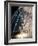 Views of Andalusia, Spain-Felipe Rodriguez-Framed Photographic Print