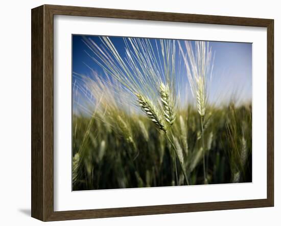 Views of Andalusia, Spain-Felipe Rodriguez-Framed Photographic Print