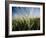 Views of Andalusia, Spain-Felipe Rodriguez-Framed Photographic Print