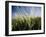 Views of Andalusia, Spain-Felipe Rodriguez-Framed Photographic Print