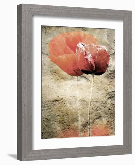 Views of Andalusia, Spain-Felipe Rodriguez-Framed Photographic Print