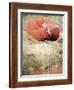 Views of Andalusia, Spain-Felipe Rodriguez-Framed Photographic Print