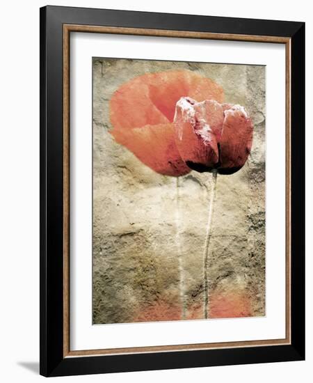 Views of Andalusia, Spain-Felipe Rodriguez-Framed Photographic Print