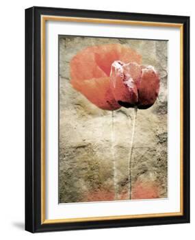 Views of Andalusia, Spain-Felipe Rodriguez-Framed Photographic Print