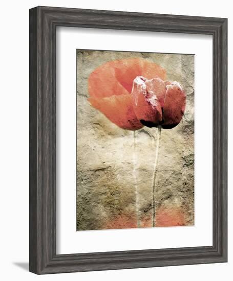 Views of Andalusia, Spain-Felipe Rodriguez-Framed Photographic Print