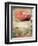 Views of Andalusia, Spain-Felipe Rodriguez-Framed Photographic Print