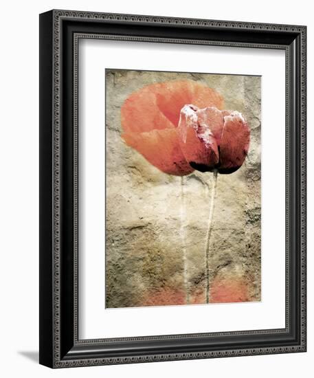 Views of Andalusia, Spain-Felipe Rodriguez-Framed Photographic Print