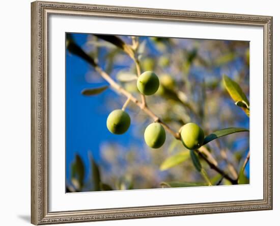 Views of Andalusia, Spain-Felipe Rodriguez-Framed Photographic Print