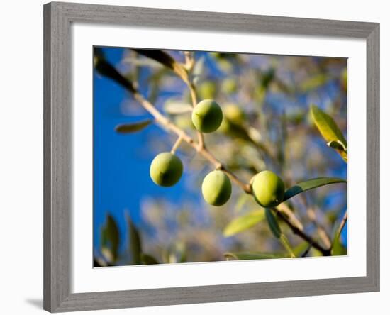 Views of Andalusia, Spain-Felipe Rodriguez-Framed Photographic Print