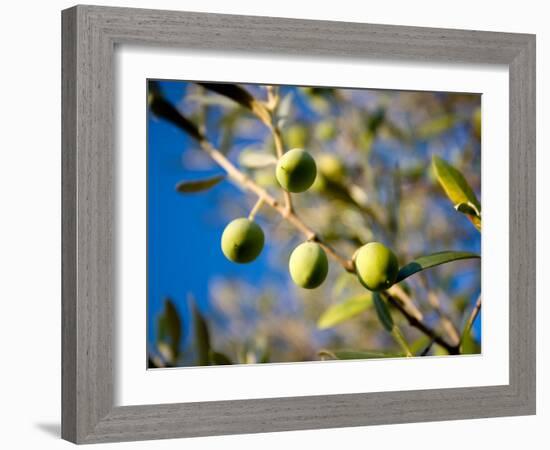 Views of Andalusia, Spain-Felipe Rodriguez-Framed Photographic Print