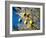 Views of Andalusia, Spain-Felipe Rodriguez-Framed Photographic Print