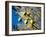 Views of Andalusia, Spain-Felipe Rodriguez-Framed Photographic Print