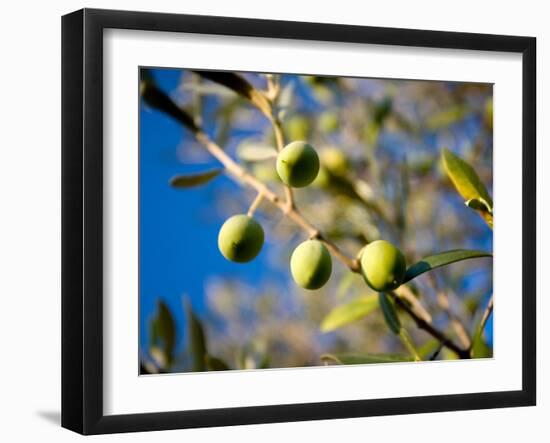 Views of Andalusia, Spain-Felipe Rodriguez-Framed Photographic Print