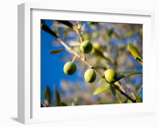 Views of Andalusia, Spain-Felipe Rodriguez-Framed Photographic Print