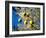 Views of Andalusia, Spain-Felipe Rodriguez-Framed Photographic Print