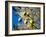 Views of Andalusia, Spain-Felipe Rodriguez-Framed Photographic Print