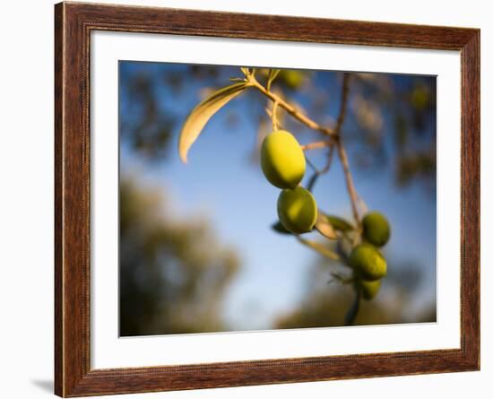 Views of Andalusia, Spain-Felipe Rodriguez-Framed Photographic Print