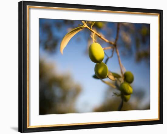 Views of Andalusia, Spain-Felipe Rodriguez-Framed Photographic Print