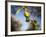 Views of Andalusia, Spain-Felipe Rodriguez-Framed Photographic Print