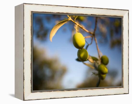 Views of Andalusia, Spain-Felipe Rodriguez-Framed Premier Image Canvas