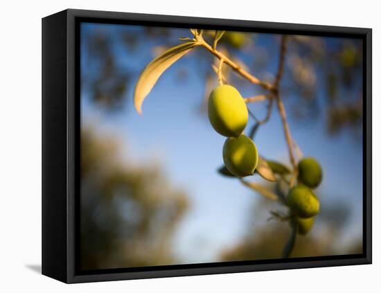 Views of Andalusia, Spain-Felipe Rodriguez-Framed Premier Image Canvas