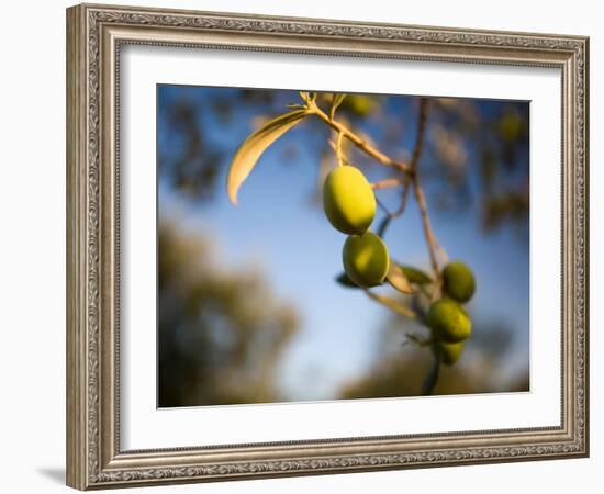 Views of Andalusia, Spain-Felipe Rodriguez-Framed Photographic Print