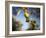 Views of Andalusia, Spain-Felipe Rodriguez-Framed Photographic Print