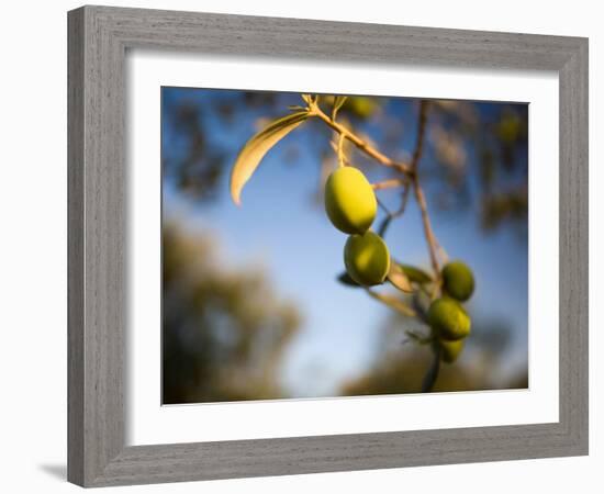 Views of Andalusia, Spain-Felipe Rodriguez-Framed Photographic Print