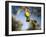 Views of Andalusia, Spain-Felipe Rodriguez-Framed Photographic Print