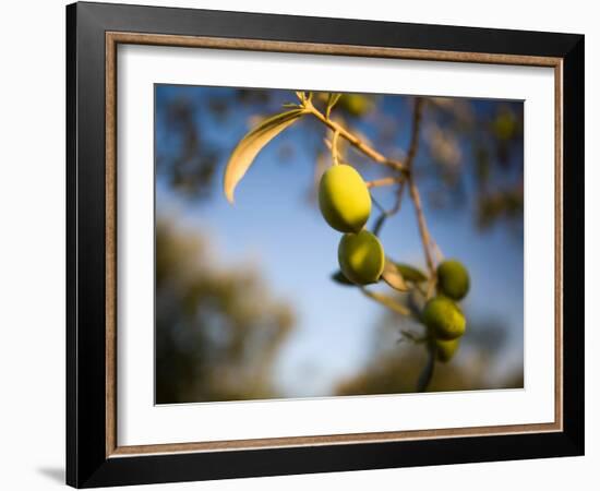 Views of Andalusia, Spain-Felipe Rodriguez-Framed Photographic Print