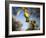 Views of Andalusia, Spain-Felipe Rodriguez-Framed Photographic Print