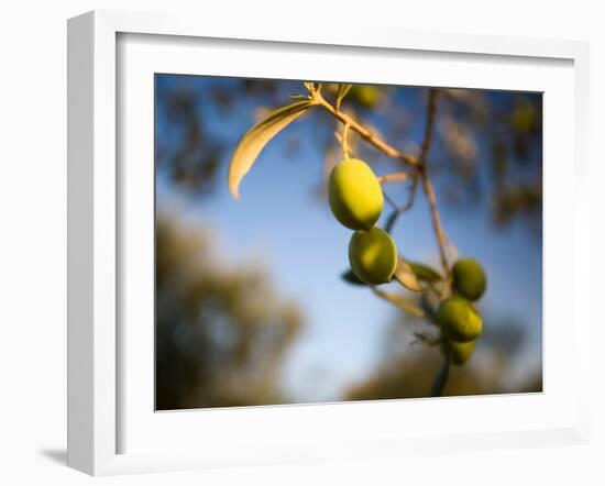 Views of Andalusia, Spain-Felipe Rodriguez-Framed Photographic Print