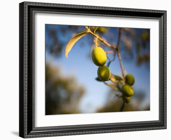 Views of Andalusia, Spain-Felipe Rodriguez-Framed Photographic Print