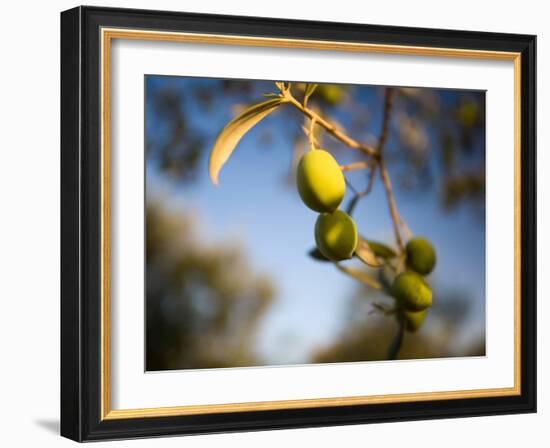 Views of Andalusia, Spain-Felipe Rodriguez-Framed Photographic Print