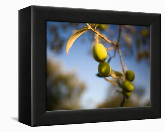 Views of Andalusia, Spain-Felipe Rodriguez-Framed Premier Image Canvas