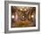 Views of Andalusia, Spain-Felipe Rodriguez-Framed Photographic Print